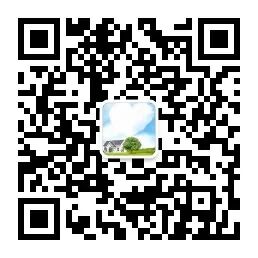 他字结尾词语_他的组词_他字开头词语