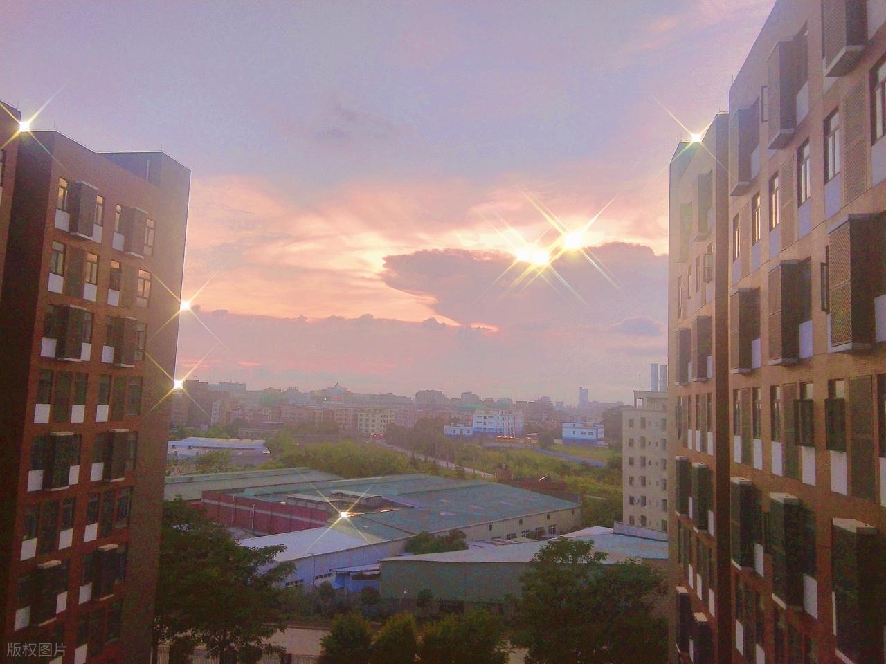 黎明职业大学介绍与报考指南_2026年江汉大学专科录取分数线(2026各省份录取分数线及位次排名)_黎明职业大学录取分数线