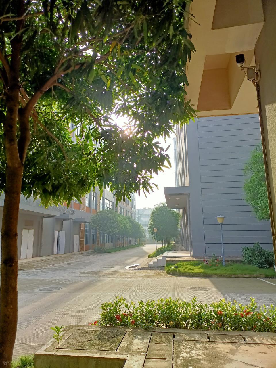 黎明职业大学介绍与报考指南_黎明职业大学录取分数线_2026年江汉大学专科录取分数线(2026各省份录取分数线及位次排名)