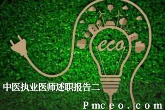 中医执业医师述职报告二