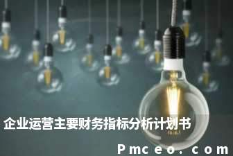 企业运营主要财务指标分析计划书