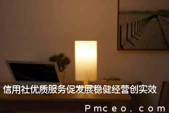 信用社优质服务促发展稳健经营创实效