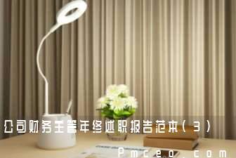 公司财务主管年终述职报告范本(3)