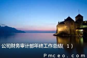 公司财务审计部年终工作总结(1)