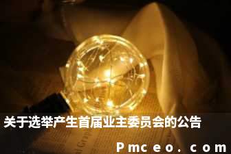 关于选举产生首届业主委员会的公告