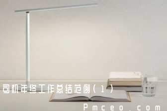 司机年终工作总结范例(1)