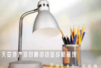 天安地产项目融资资金战略管理