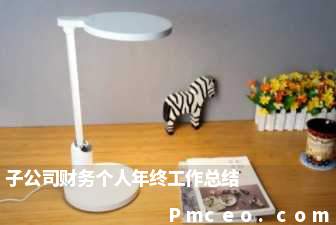 子公司财务个人年终工作总结