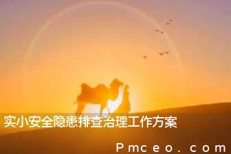 实小安全隐患排查治理工作方案