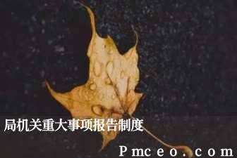 局机关重大事项报告制度