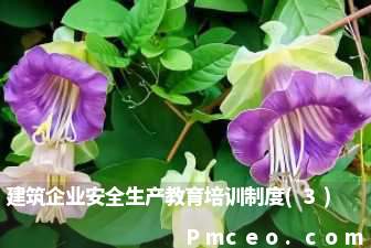 建筑企业安全生产教育培训制度(3)
