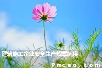 建筑施工企业安全生产规章制度