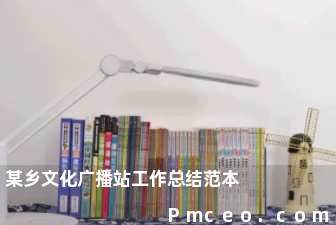 某乡文化广播站工作总结范本