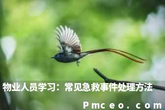 物业人员学习：常见急救事件处理方法