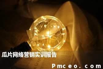瓜片网络营销实训报告