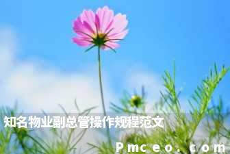 知名物业副总管操作规程范文