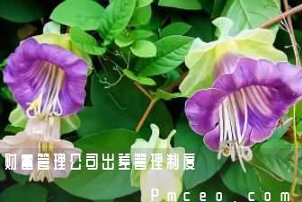 财富管理公司出差管理制度
